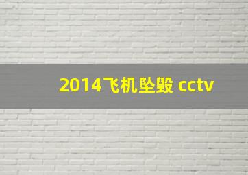 2014飞机坠毁 cctv